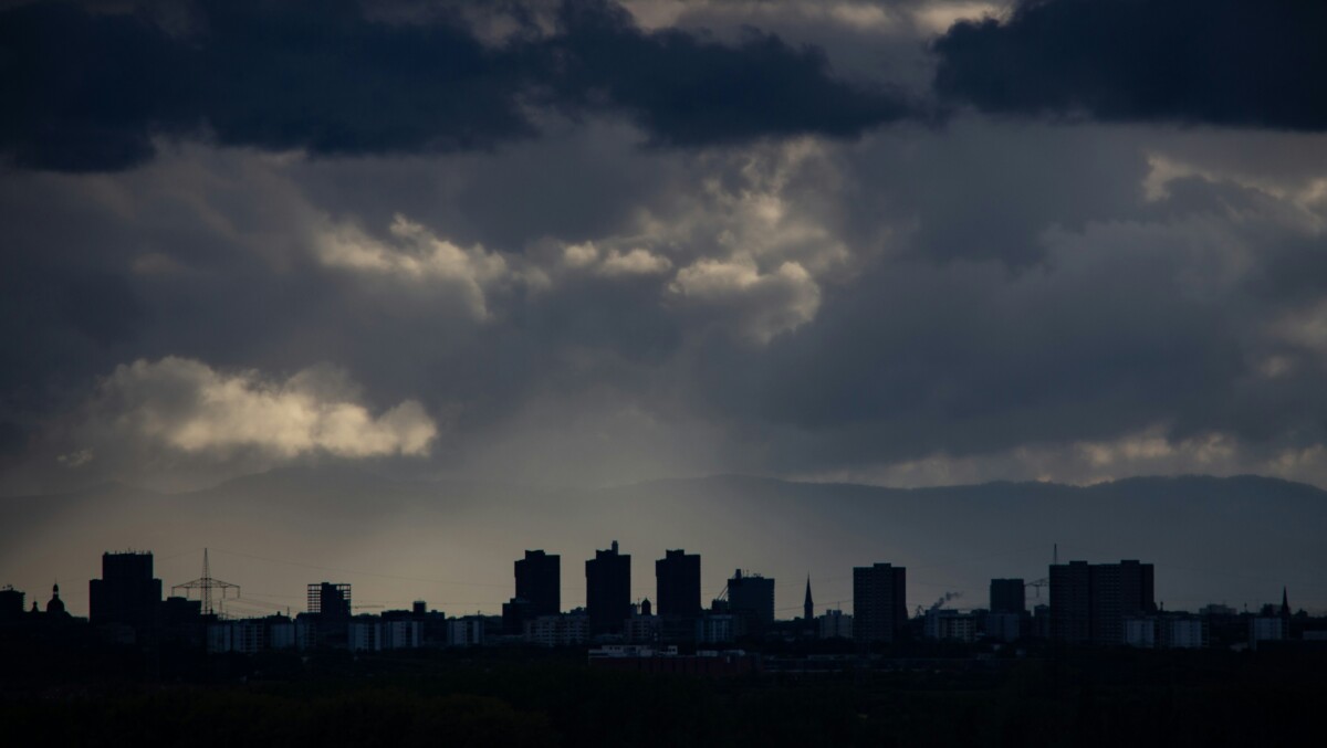 bernd-dittrich-LI3Q4iWgtJc-unsplash