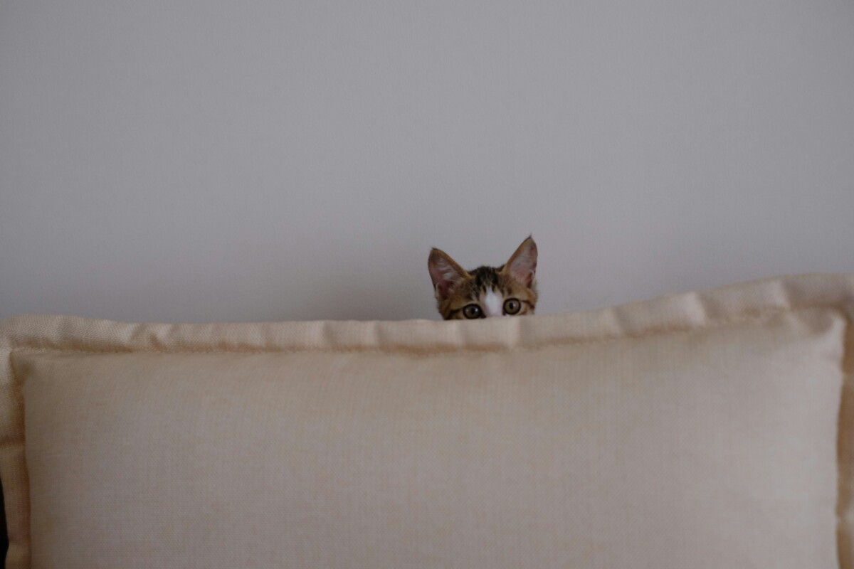 he-gong-KbuYCu1SWik-unsplash